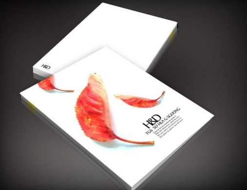 廣州專業(yè)的折頁(yè)畫冊(cè)設(shè)計(jì)制作 廣州宣傳冊(cè)印刷畫冊(cè)設(shè)計(jì)哪家好