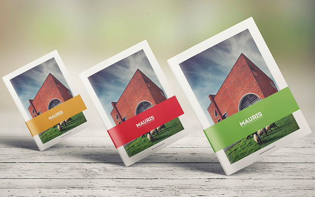 廣州設(shè)計(jì)畫(huà)冊(cè)印刷價(jià)格范圍 廣州印刷品報(bào)價(jià)