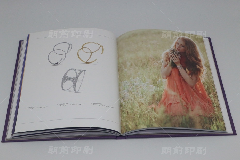 廣州印刷設(shè)計(jì) 廣州畫冊(cè)設(shè)計(jì)印刷137