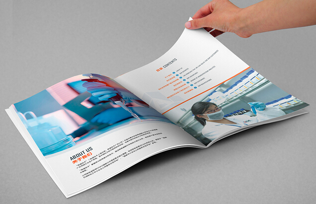 廣州公司畫冊制作尺寸 廣州印刷樣本畫冊設(shè)計價格