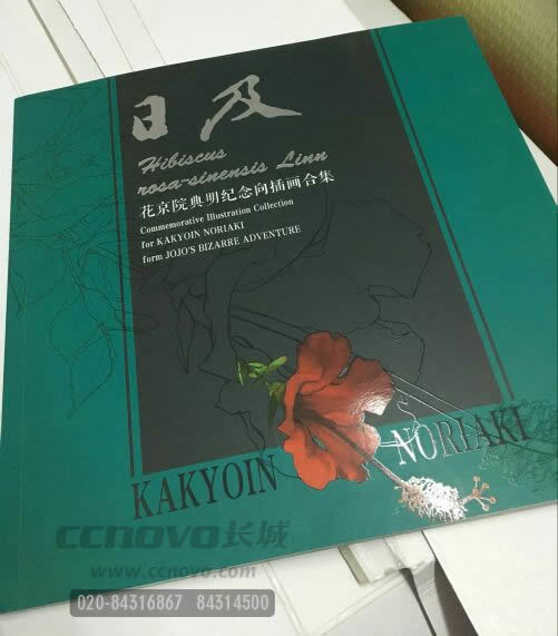 畫冊設(shè)計局部uv效果圖